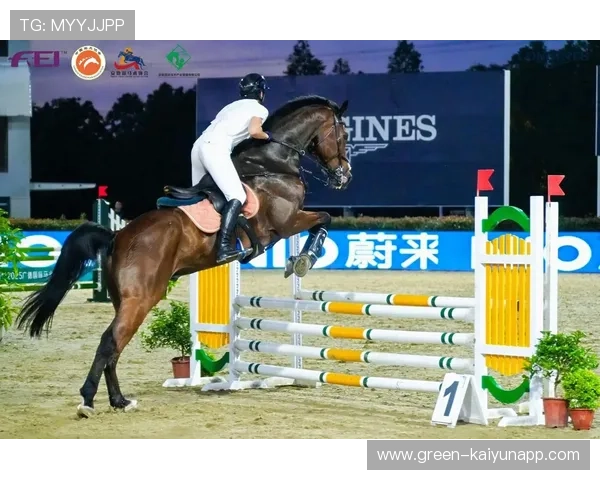 泰国马术协会与欧洲马术协会签署合作协议,共同举办国际赛事。 泰国马术协会与欧洲马术协会签署合作协议,共同举办国际赛事。